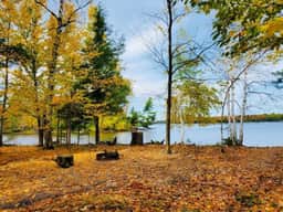 Peace & Pines Hideaway - Image 3