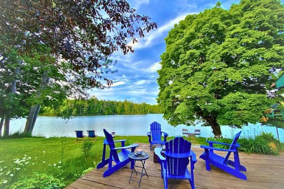 Sugar Maple at Hansen Lake - Image 1