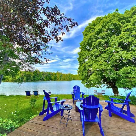Sugar Maple at Hansen Lake - Image 1