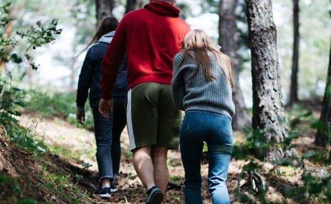 Family hiking a pine forest trail in Northern Wisconsin