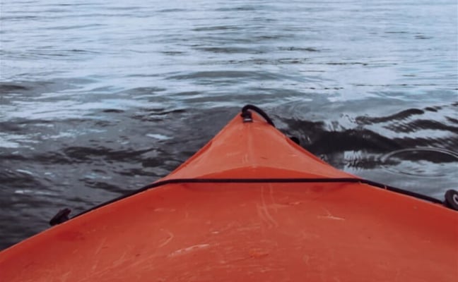 Kayak on a Northern Wisconsin lake with forested shoreline