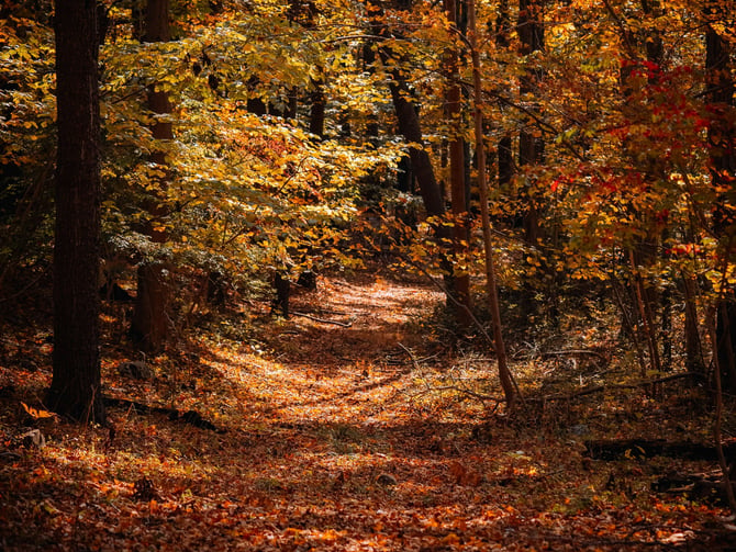 Hiking